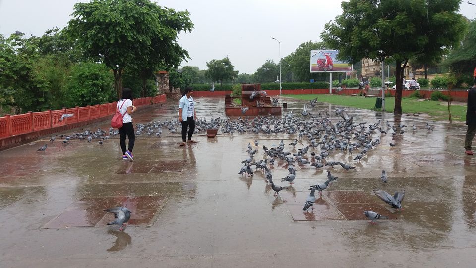 Photo of Jaipur, Rajasthan, India by Swadha Singh