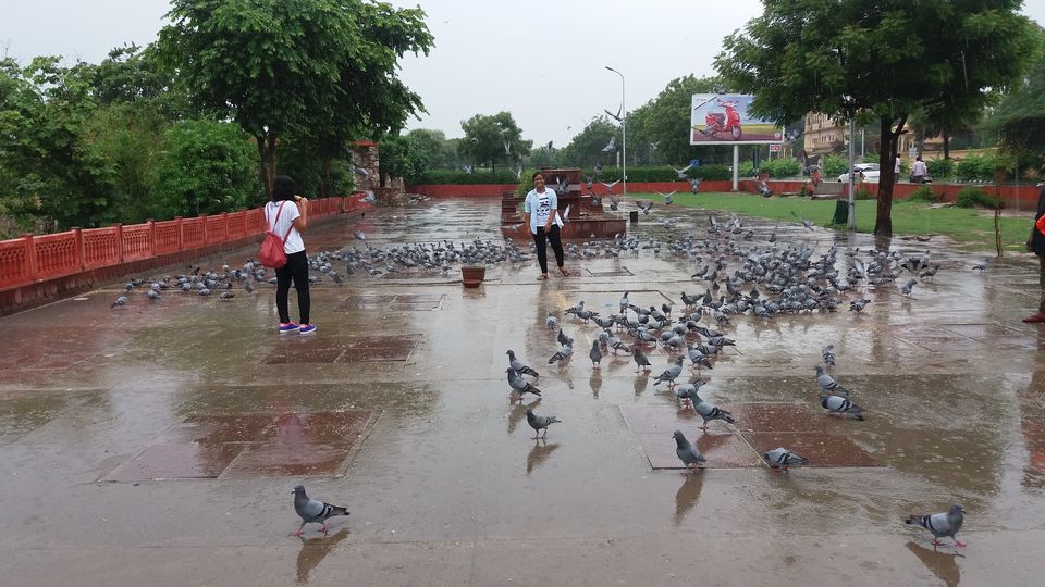 Photo of Jaipur, Rajasthan, India by Swadha Singh