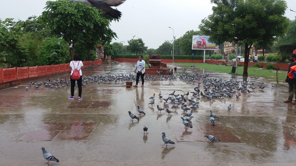 Photo of Jaipur, Rajasthan, India by Swadha Singh