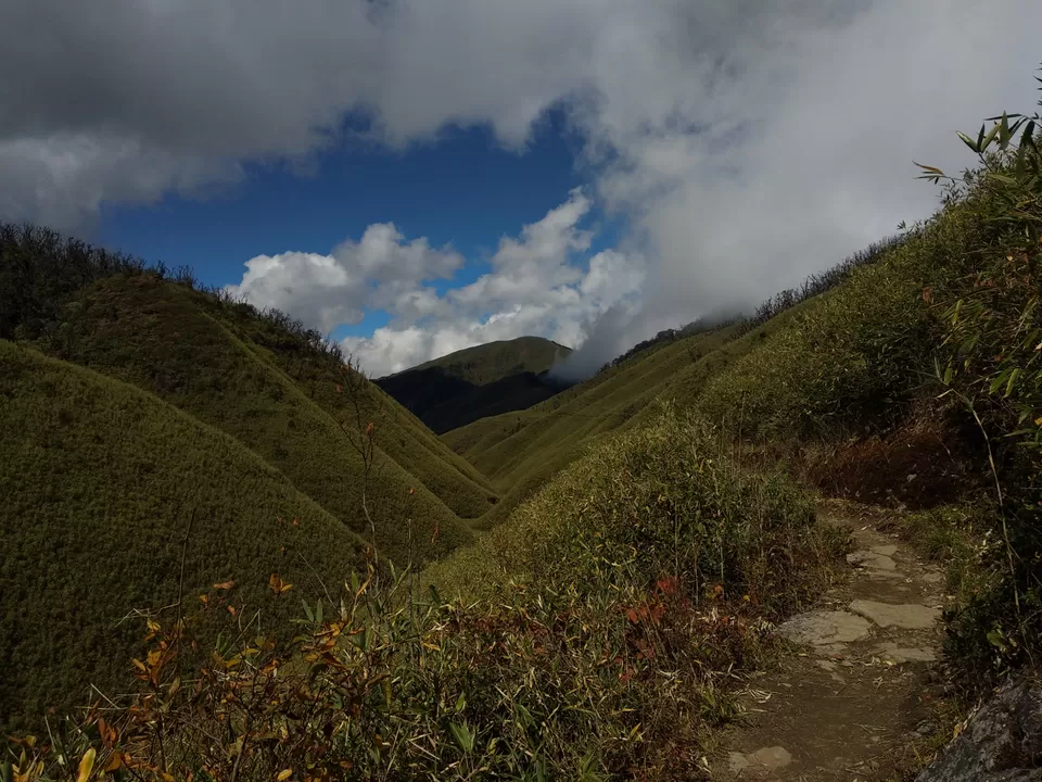 Photo of Dzukou Valley, India by Trusha govekar