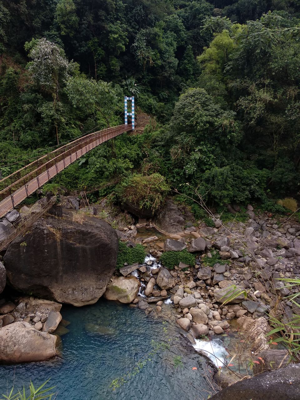 Photo of Jingkieng Nongriat Double Decker Living Root Bridge, Meghalaya, India by Trusha govekar