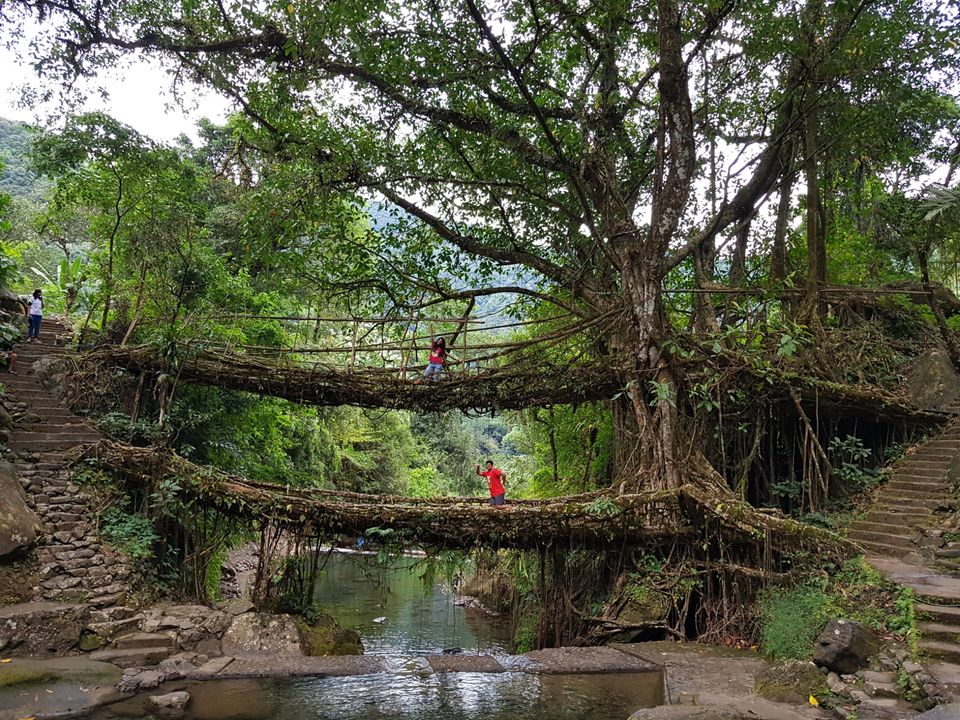 Photo of Jingkieng Nongriat Double Decker Living Root Bridge, Meghalaya, India by Trusha govekar