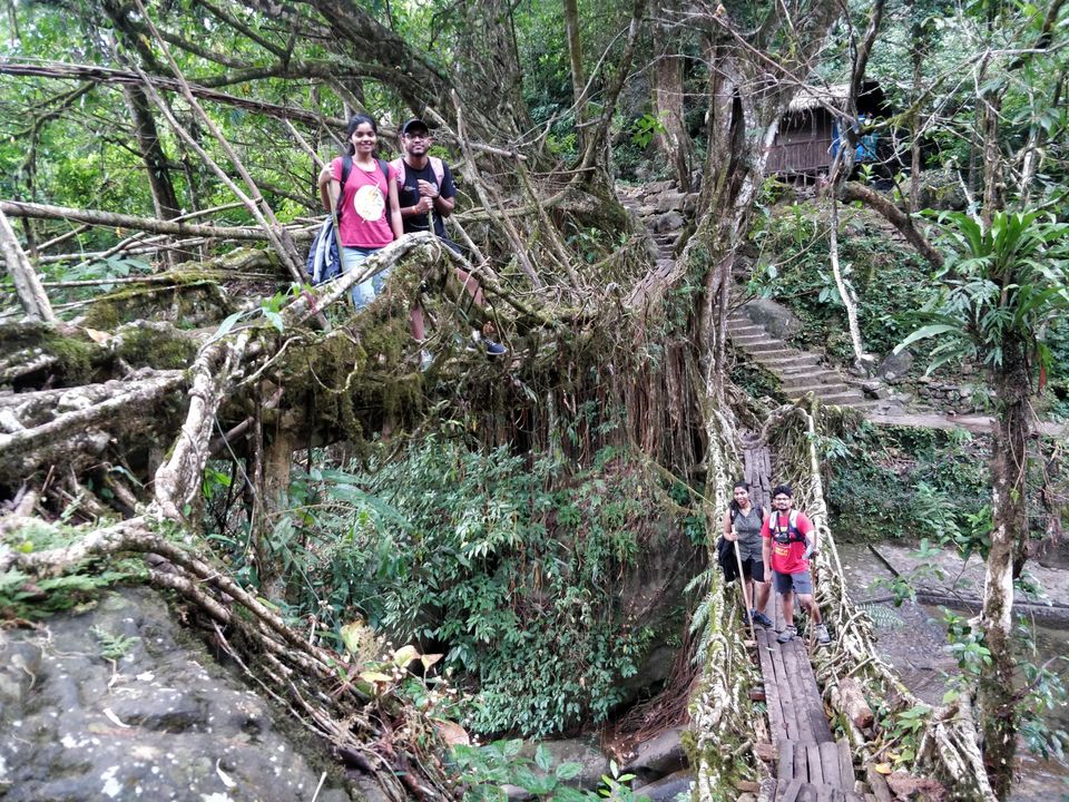 Photo of Jingkieng Nongriat Double Decker Living Root Bridge, Meghalaya, India by Trusha govekar