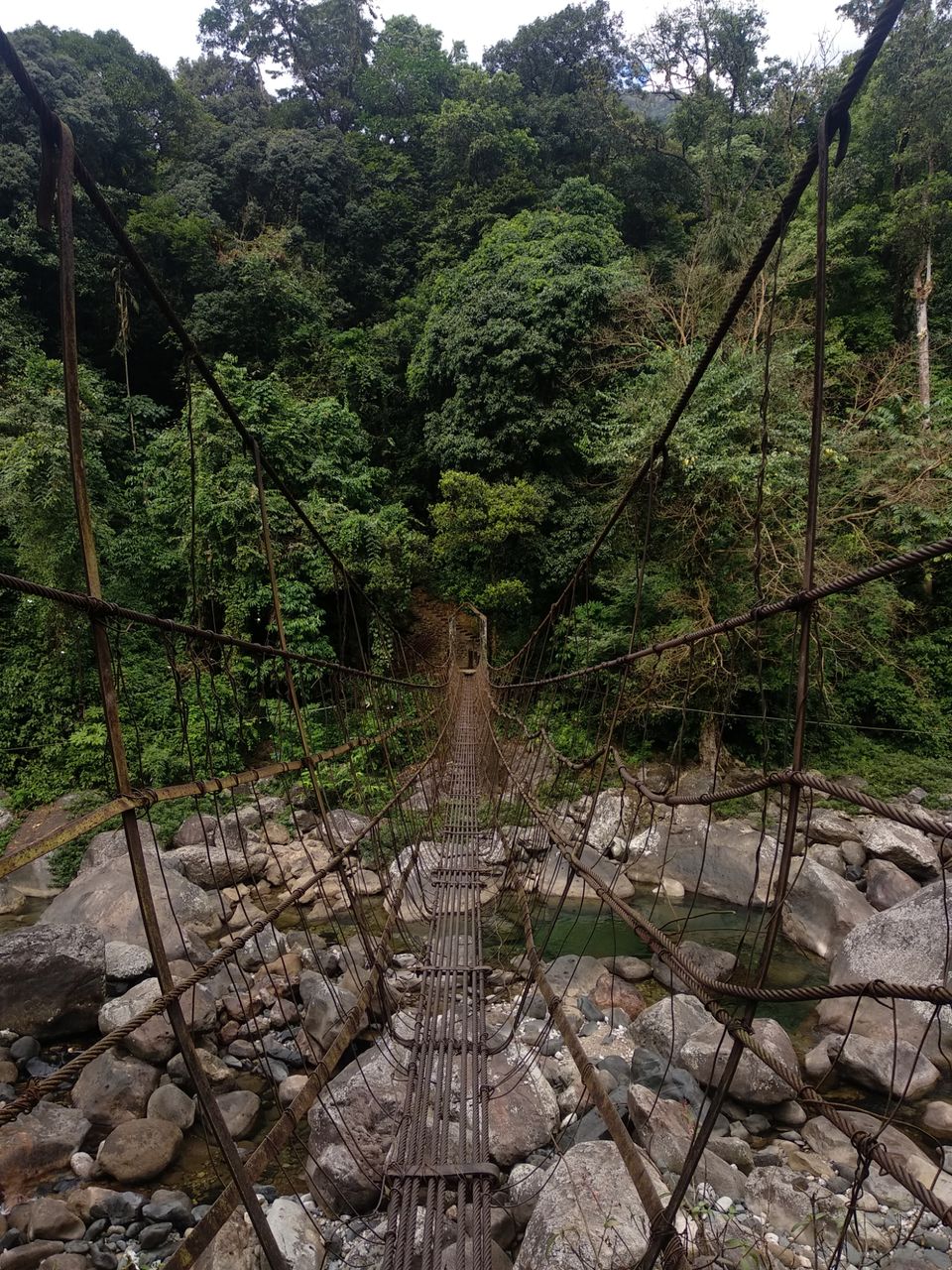 Photo of Jingkieng Nongriat Double Decker Living Root Bridge, Meghalaya, India by Trusha govekar