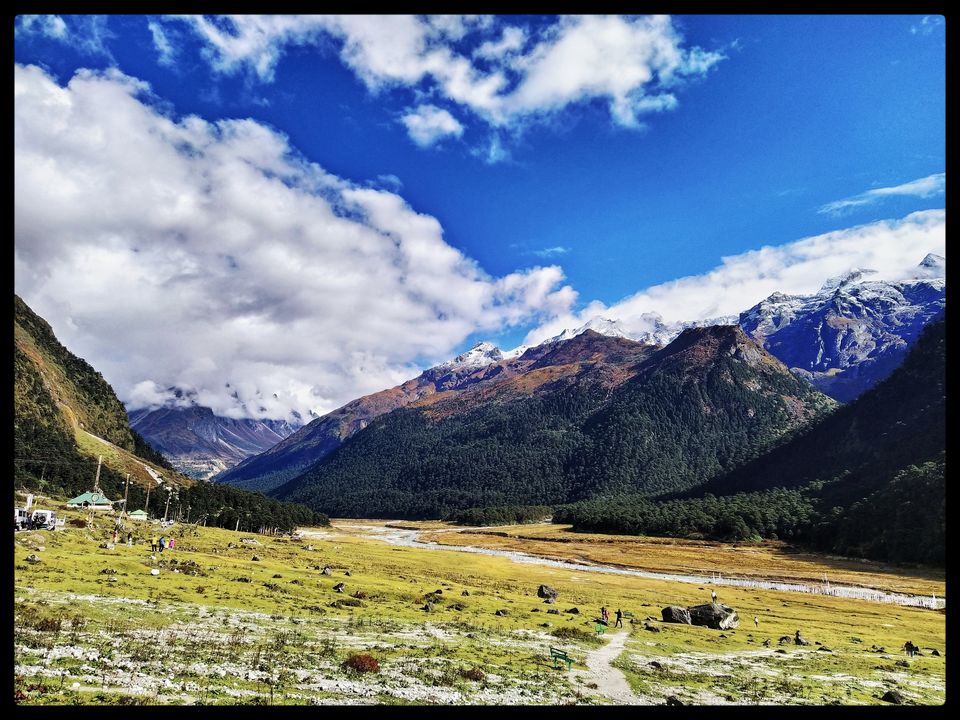 Photo of Yumthang Valley 1/1 by Dhiraj Deka
