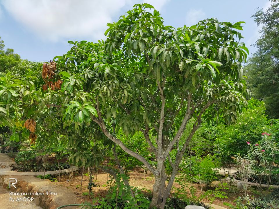 Photo of Ramanagara, Karnataka, India by Anoop Kumar Singh