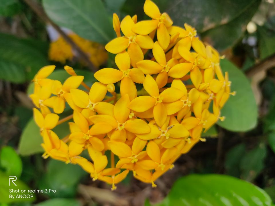 Photo of Ramanagara, Karnataka, India by Anoop Kumar Singh
