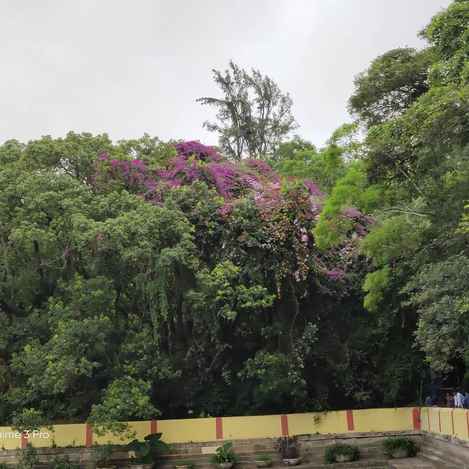 Photo of Nandi Hills, Nandi Hills, Karnataka, India by Anoop Kumar Singh