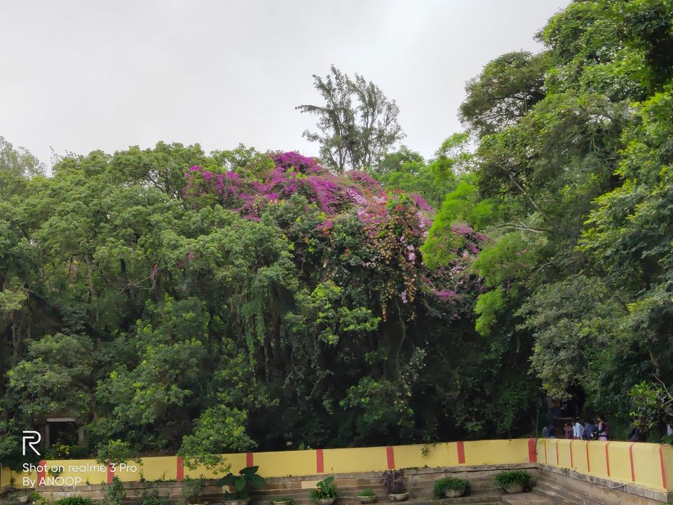 Photo of Nandi Hills, Nandi Hills, Karnataka, India by Anoop Kumar Singh