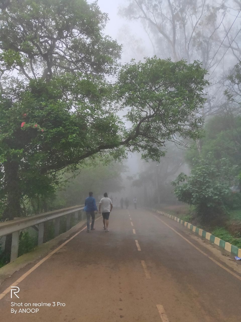 Photo of Nandi Hills, Nandi Hills, Karnataka, India by Anoop Kumar Singh