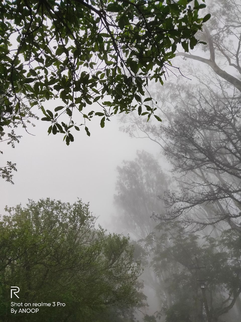 Photo of Nandi Hills, Nandi Hills, Karnataka, India by Anoop Kumar Singh