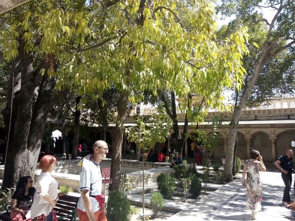 Photo of City Palace, Old City, Udaipur, Rajasthan, India by Tara Singh