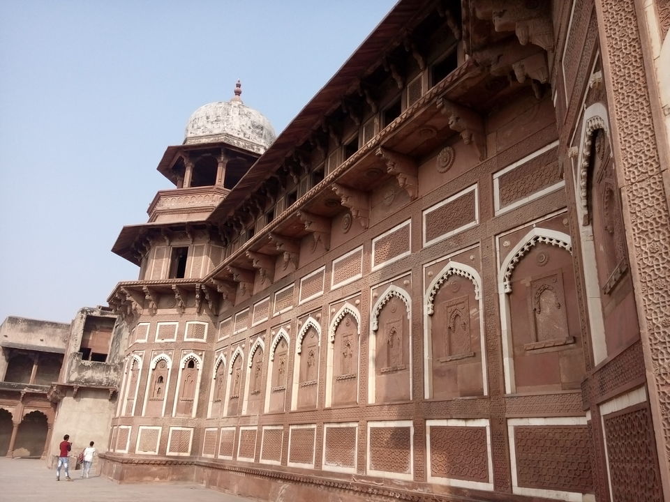 Photo of Solo Trip to Agra- Birthday At Taj Mahal by Tara Singh
