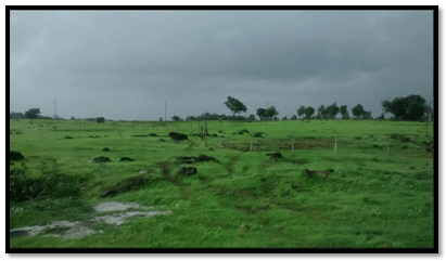 Photo of NH222: A Highway To Heaven by Madhuri