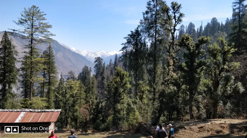 Photo of Trip to Kedarkantha(Uttrakhand) in March'18 by Arpit Madaan