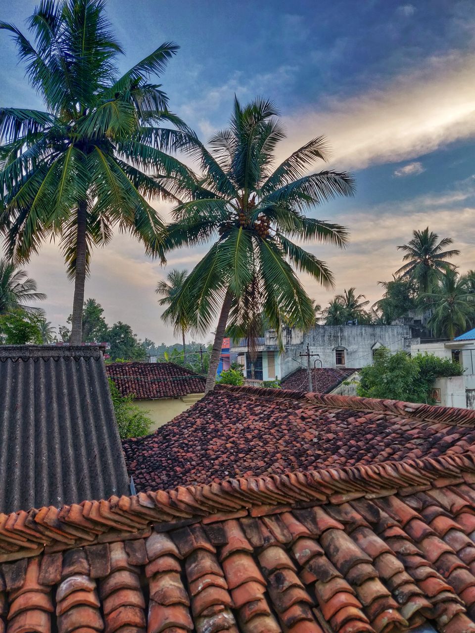 Photo of Mayiladuthurai, Tamil Nadu, India by lifebeyonddesk