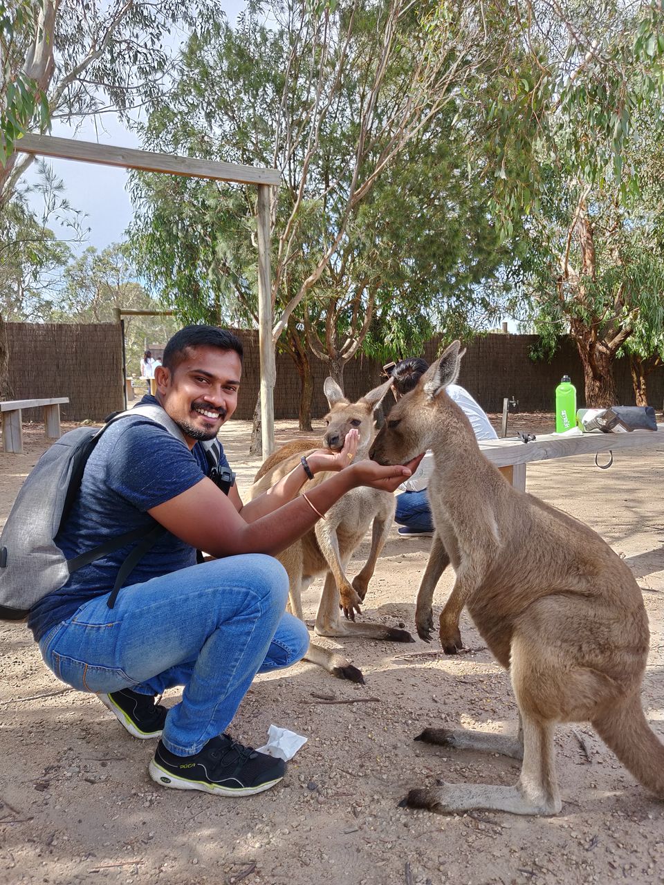 Photo of Moonlit Sanctuary Wildlife Conservation Park, Tyabb-Tooradin Road, Pearcedale VIC, Australia by lifebeyonddesk