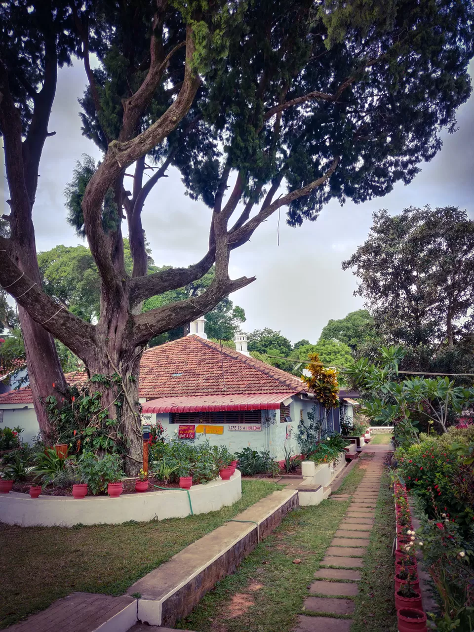 Photo of Yercaud - Solo ride to Poor Man's Ooty by lifebeyonddesk