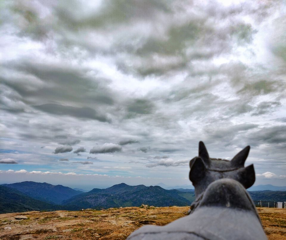 Photo of Yercaud, Tamil Nadu, India by lifebeyonddesk