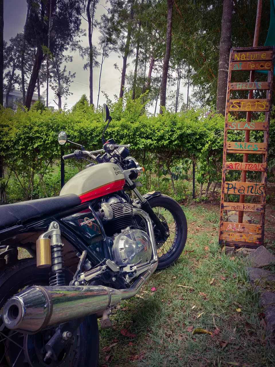 Photo of Yercaud - Solo ride to Poor Man's Ooty by lifebeyonddesk