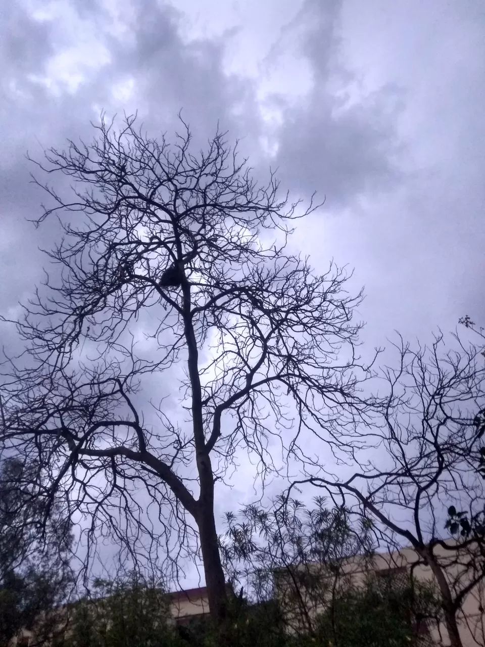 Photo of A Rainy April Evening in Delhi by Mohsin Wali