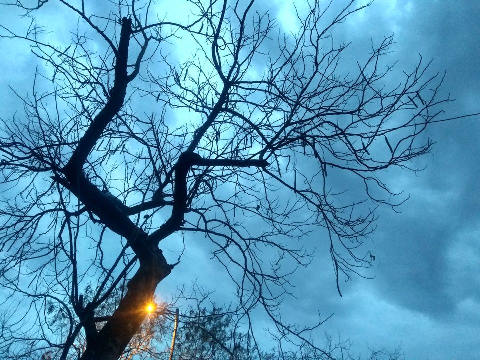 Photo of A Rainy April Evening in Delhi by Mohsin Wali