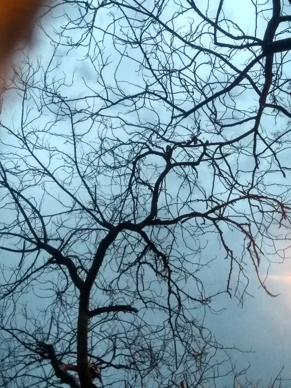 Photo of A Rainy April Evening in Delhi by Mohsin Wali