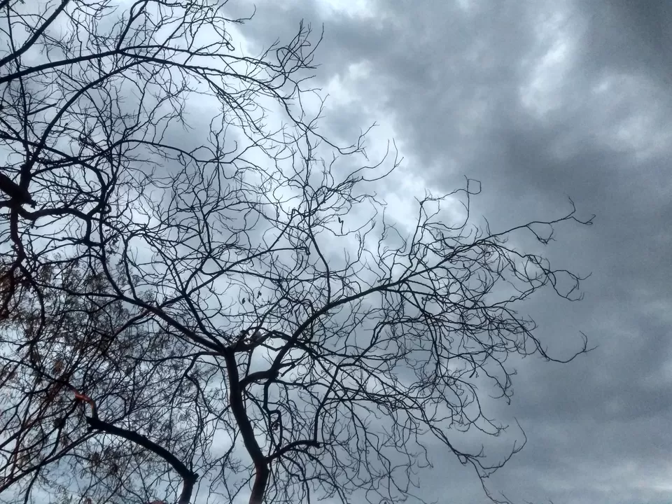 Photo of A Rainy April Evening in Delhi by Mohsin Wali