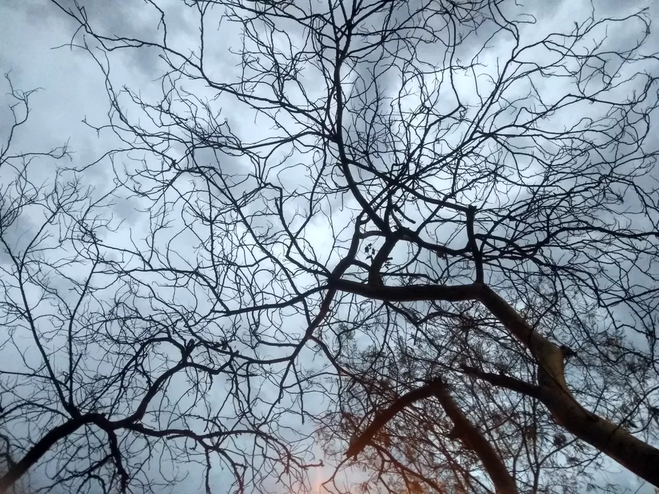 Photo of A Rainy April Evening in Delhi by Mohsin Wali