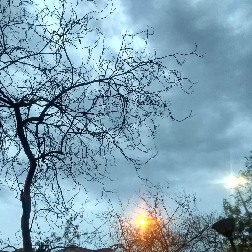 Photo of A Rainy April Evening in Delhi by Mohsin Wali