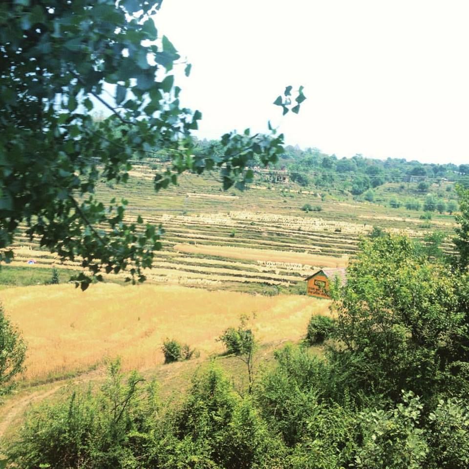 Photo of Bir: A place that changes your perception about life! 4/9 by Vivek Prashar