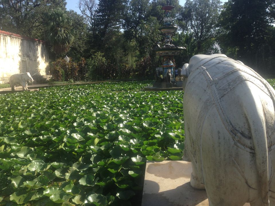 Photo of Padharo mhare desh in the city of lakes- UDAIPUR! 10/16 by Safargatha