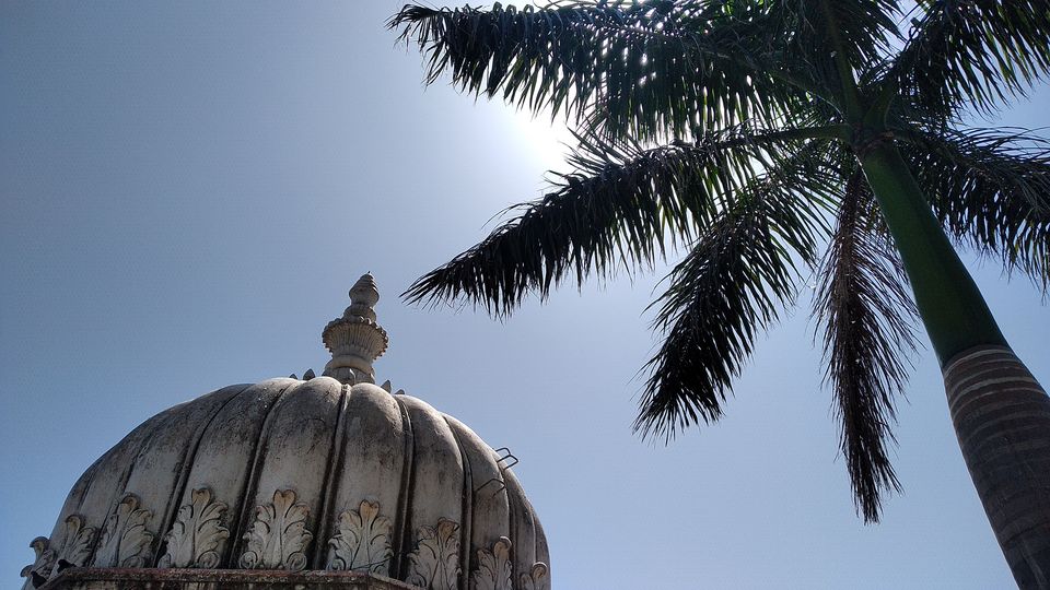 Photo of Padharo mhare desh in the city of lakes- UDAIPUR! 14/16 by Safargatha