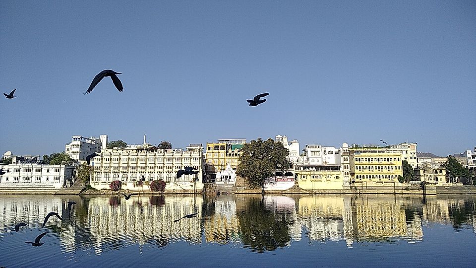 Photo of Padharo mhare desh in the city of lakes- UDAIPUR! by Safargatha