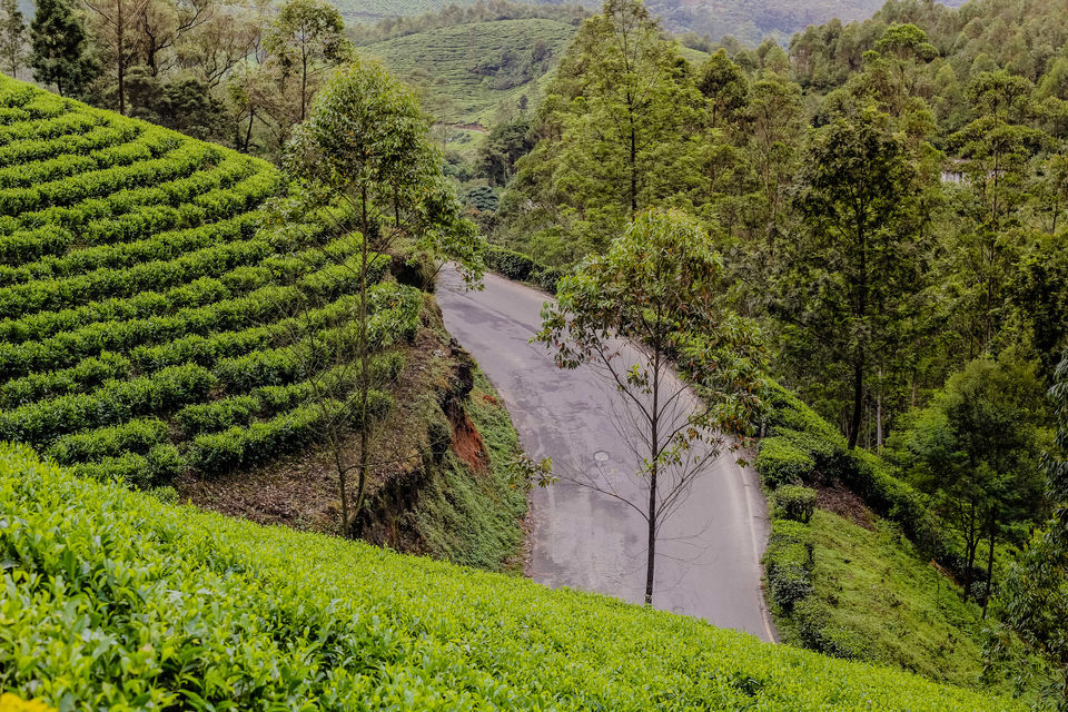 Photo of Portrait of God's own city- Munnar by Safargatha