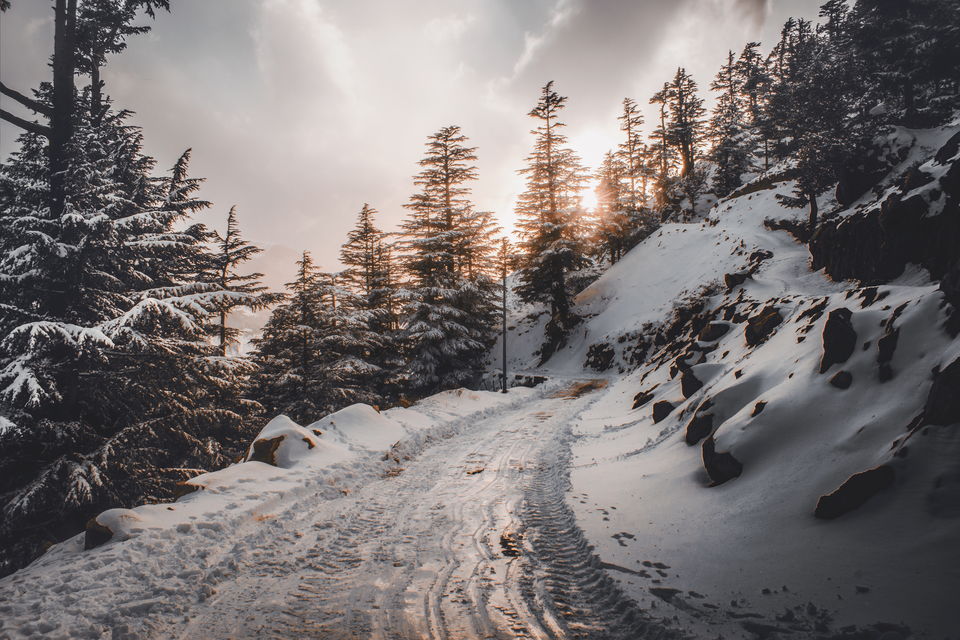 Photo of If You're Headed to Spiti Valley, Don't Miss out on Kalpa. Here's Why! 3/6 by Rohan Shahi
