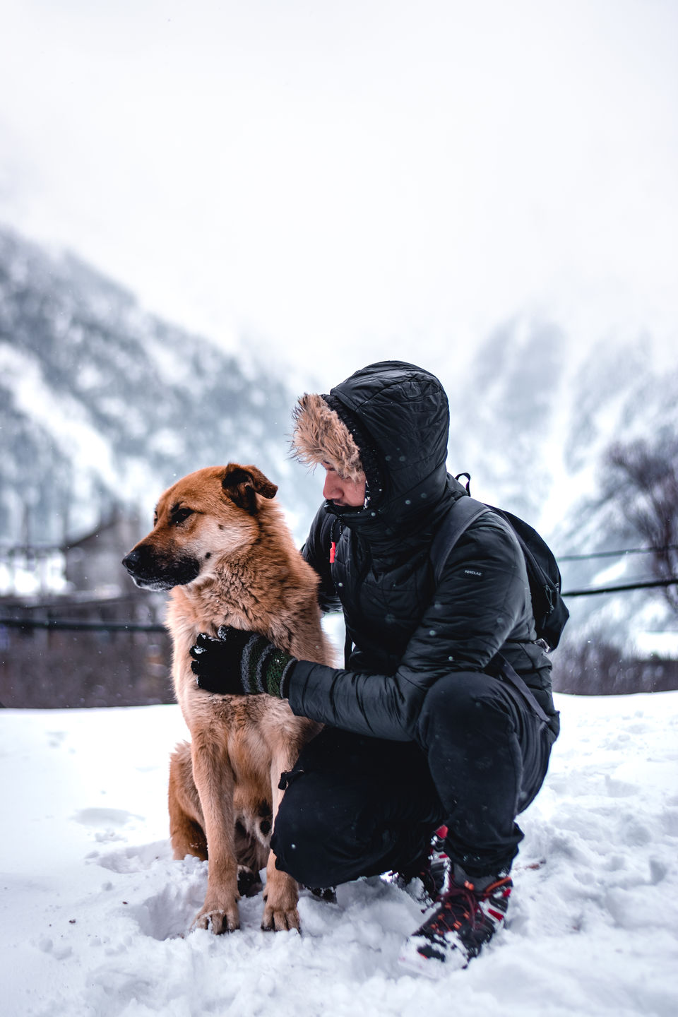 Photo of If You're Headed to Spiti Valley, Don't Miss out on Kalpa. Here's Why! 5/6 by Rohan Shahi
