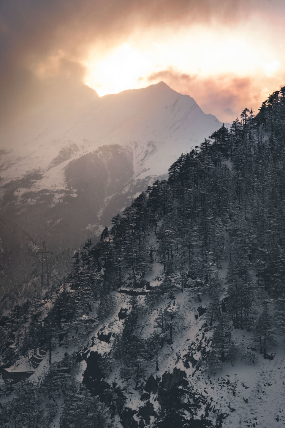 Photo of If You're Headed to Spiti Valley, Don't Miss out on Kalpa. Here's Why! 6/6 by Rohan Shahi