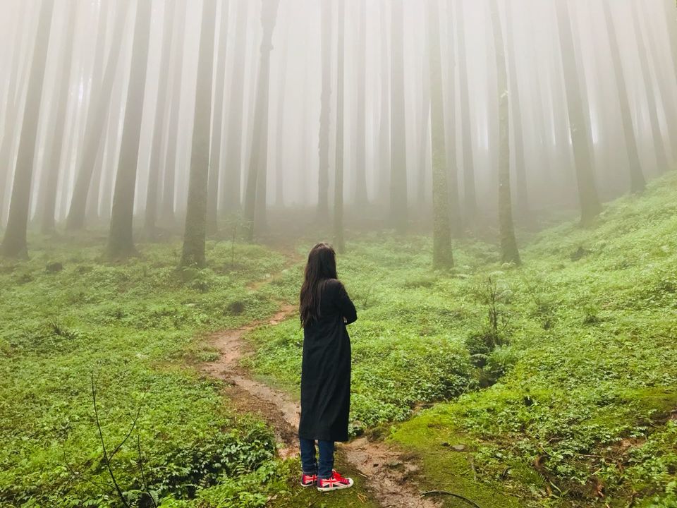 Photo of 3 days in the lap of queen (Darjeeling) by Tania Mallick