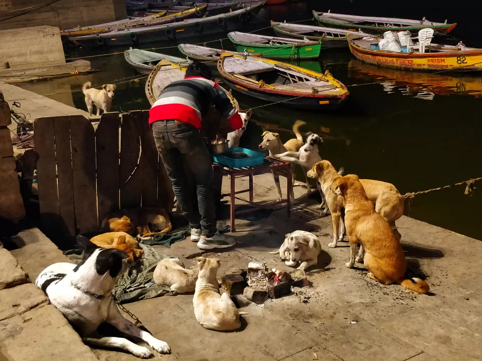 Photo of Dashashwamedh Ghat, Dashashwamedh Ghat Road, Ghats of varanasi, Godowlia, Varanasi, Uttar Pradesh, India by Pooja Khandelwal