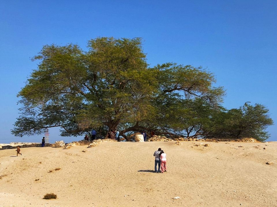 Photo of An Untouched Tourist Destination - Bahrain - 2 Pax, 3 days, 55k 7/23 by Pooja Khandelwal