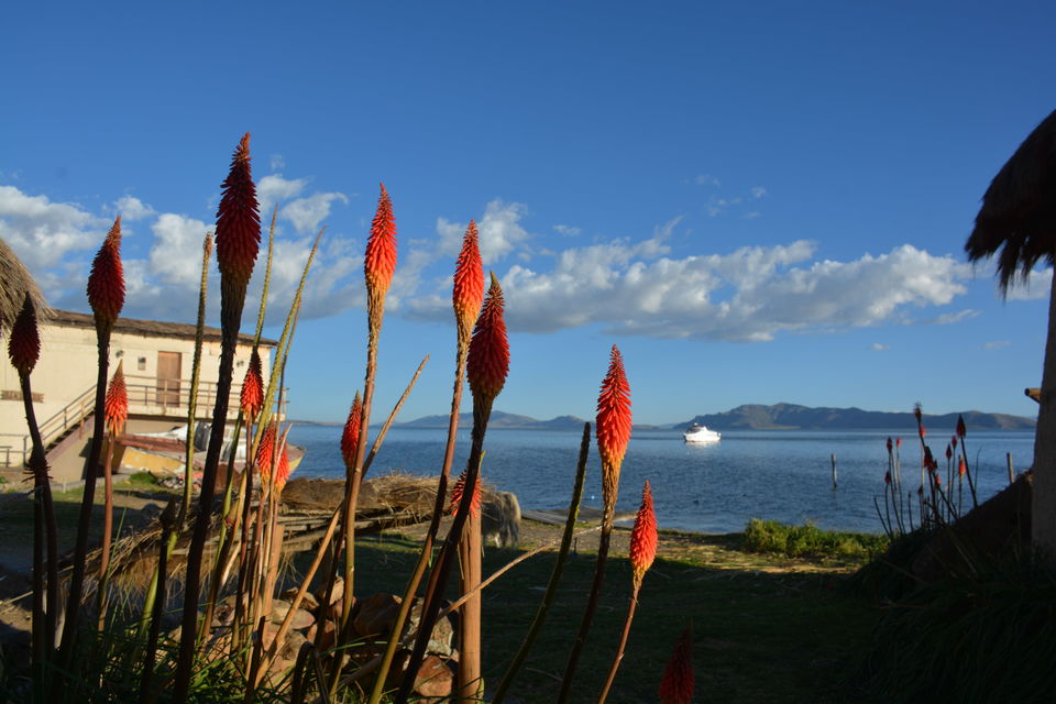 Photo of South American Sojourns: Bolivia - La Paz & Around - 2 days #tripotoatlas by Pooja Khandelwal