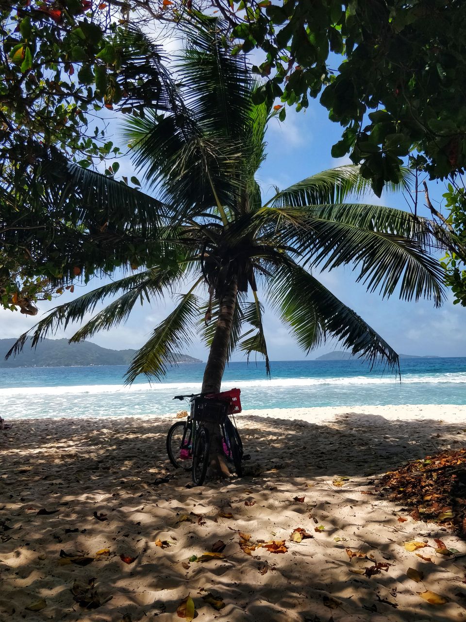 Photo of La Digue, Seychelles - Much more than the famous beaches!!! by Pooja Khandelwal