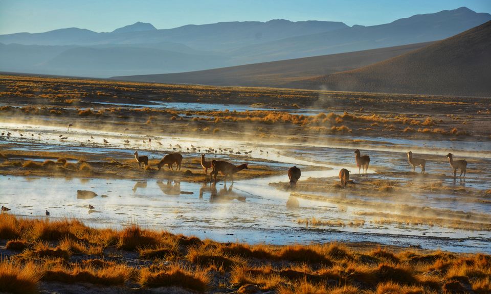 Photo of South American Sojourns : "Salar De Uyuni" tour, Bolivia - Part II by Pooja Khandelwal