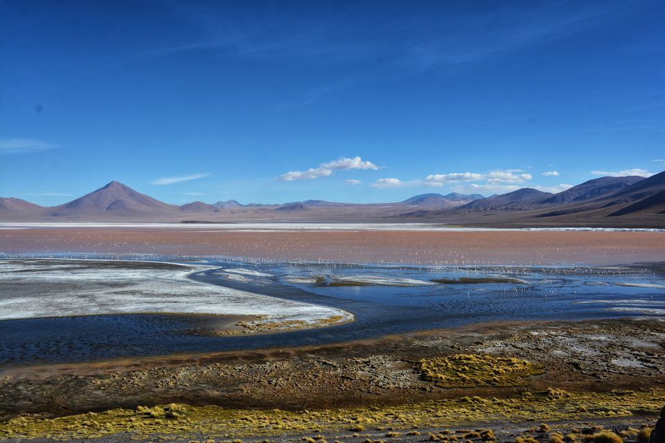 Photo of Laguna Colorada, Bolivia by Pooja Khandelwal