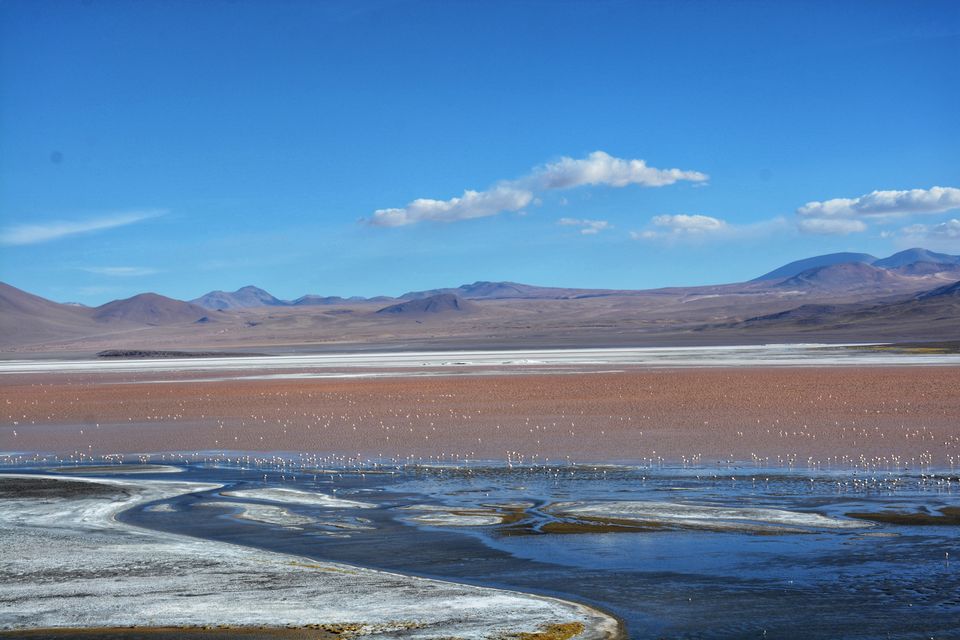 Photo of Laguna Colorada, Bolivia by Pooja Khandelwal