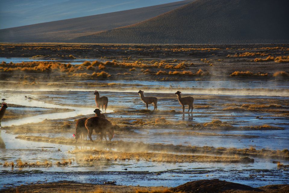 Photo of Hotel Ecologico de Piedra, Bolivia by Pooja Khandelwal