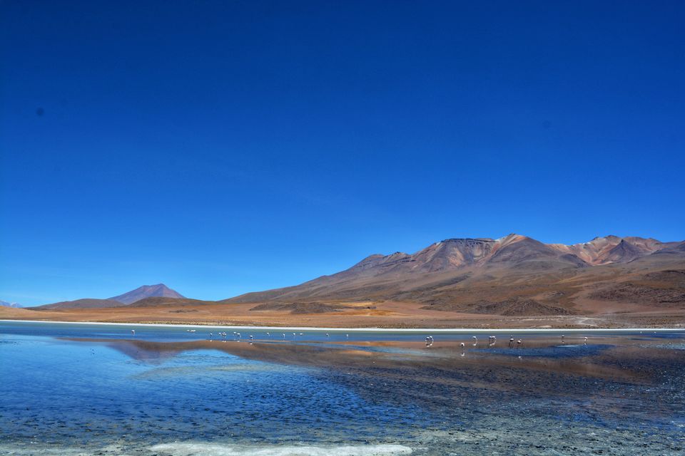 Photo of Laguna Pastos Grandes, Bolivia by Pooja Khandelwal