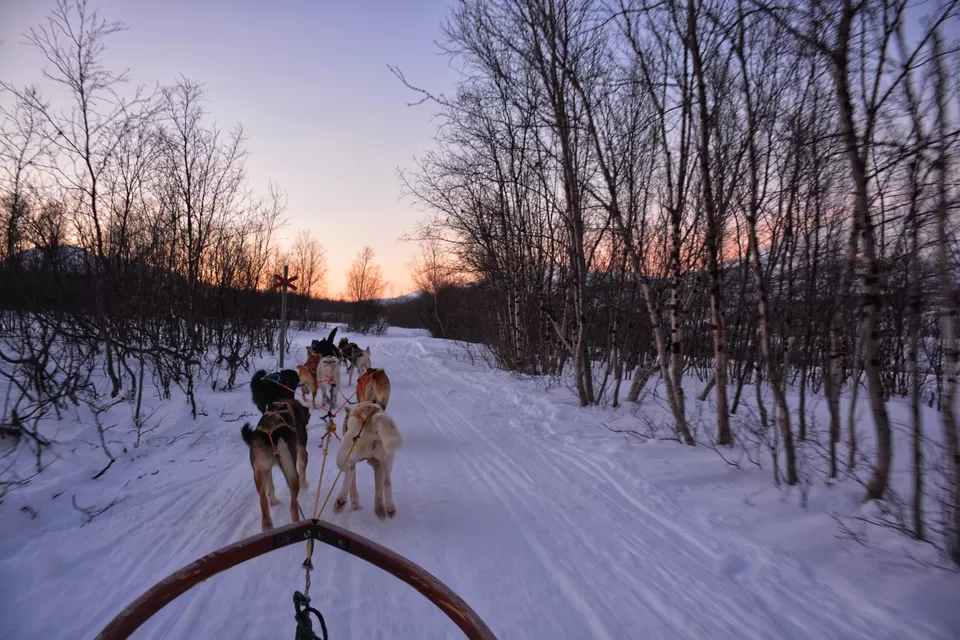 Photo of Björkliden Fjällby, Björkliden, Sweden by Pooja Khandelwal