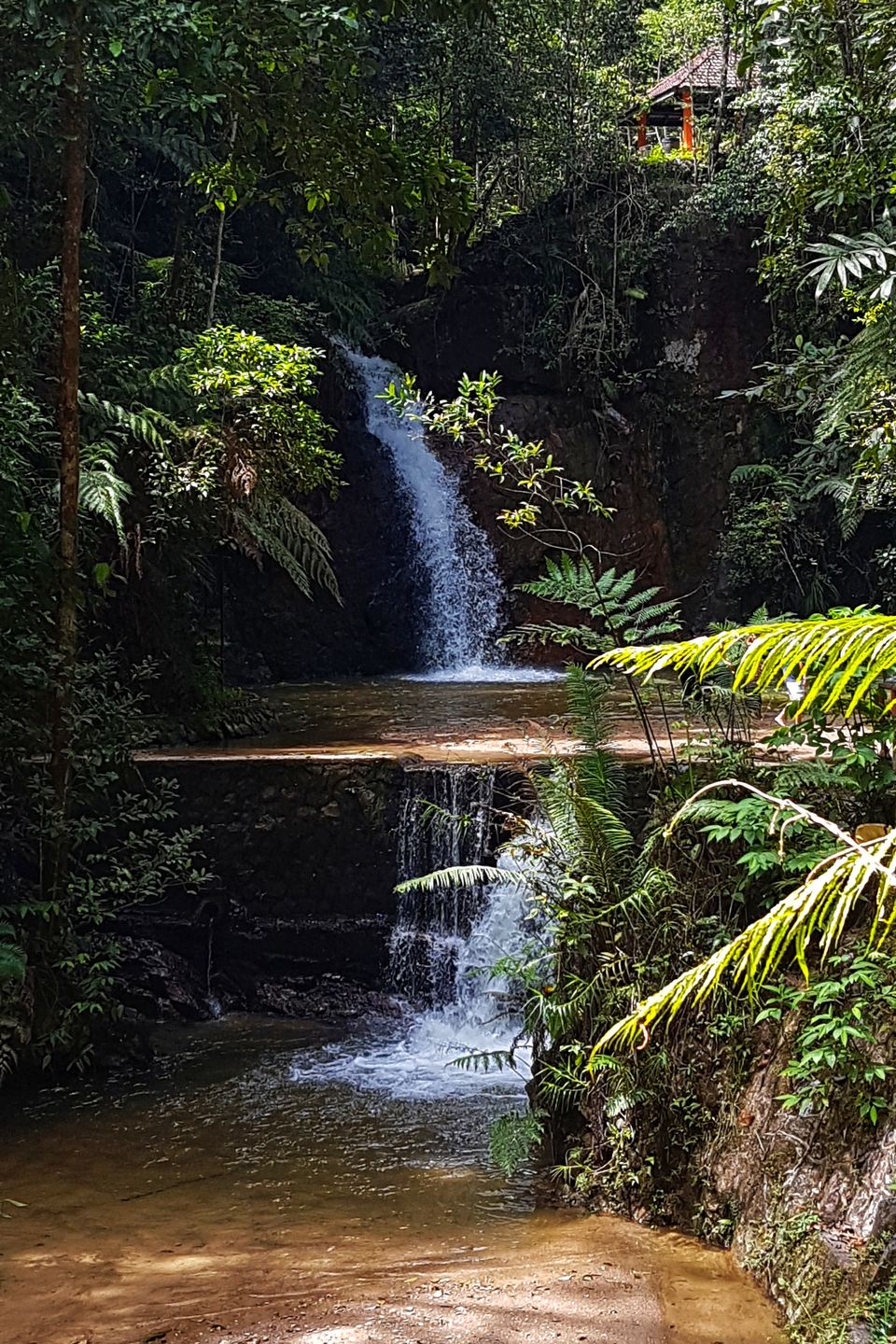 Photo of Fraser Hill (Bukit Fraser), Bukit Fraser, Fraser's Hill, Pahang, Malaysia by Pooja Khandelwal
